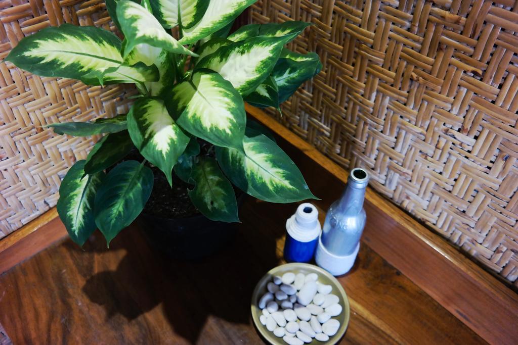 Tehila House Hotel Canggu  Bagian luar foto